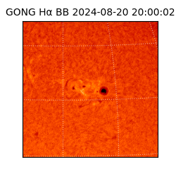 gong - 2024-08-20T20:00:02