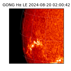 gong - 2024-08-20T02:00:42