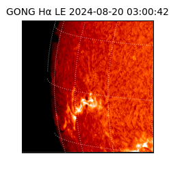 gong - 2024-08-20T03:00:42