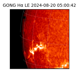 gong - 2024-08-20T05:00:42