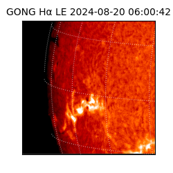 gong - 2024-08-20T06:00:42