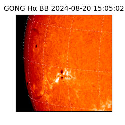 gong - 2024-08-20T15:05:02