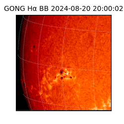 gong - 2024-08-20T20:00:02