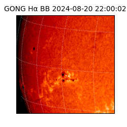 gong - 2024-08-20T22:00:02