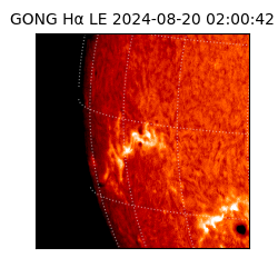 gong - 2024-08-20T02:00:42