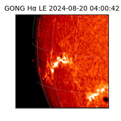 gong - 2024-08-20T04:00:42