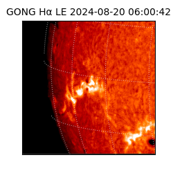 gong - 2024-08-20T06:00:42