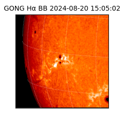 gong - 2024-08-20T15:05:02