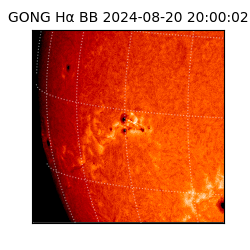 gong - 2024-08-20T20:00:02