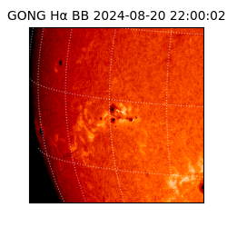 gong - 2024-08-20T22:00:02