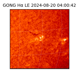 gong - 2024-08-20T04:00:42