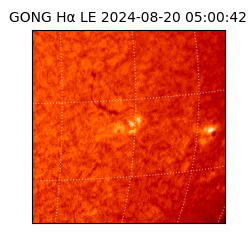 gong - 2024-08-20T05:00:42