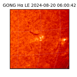 gong - 2024-08-20T06:00:42