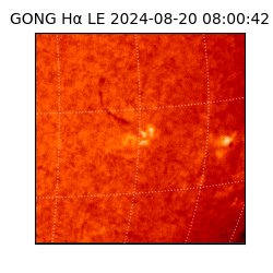 gong - 2024-08-20T08:00:42