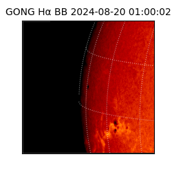 gong - 2024-08-20T01:00:02