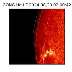 gong - 2024-08-20T02:00:42