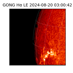 gong - 2024-08-20T03:00:42