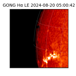 gong - 2024-08-20T05:00:42