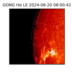 gong - 2024-08-20T08:00:42