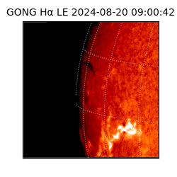 gong - 2024-08-20T09:00:42