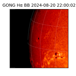 gong - 2024-08-20T22:00:02