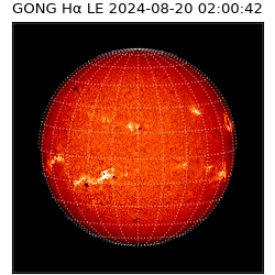 gong - 2024-08-20T02:00:42