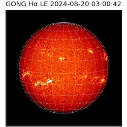 gong - 2024-08-20T03:00:42