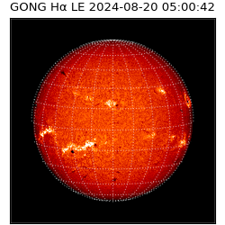 gong - 2024-08-20T05:00:42