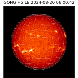 gong - 2024-08-20T06:00:42
