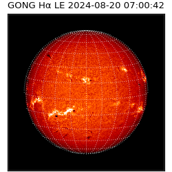 gong - 2024-08-20T07:00:42