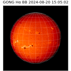gong - 2024-08-20T15:05:02
