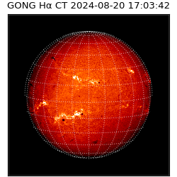 gong - 2024-08-20T17:03:42