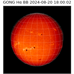 gong - 2024-08-20T18:00:02