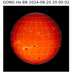 gong - 2024-08-20T20:00:02