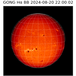 gong - 2024-08-20T22:00:02