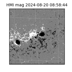 shmi - 2024-08-20T08:58:44