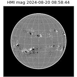 shmi - 2024-08-20T08:58:44