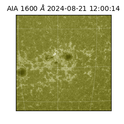 saia - 2024-08-21T12:00:14.126000