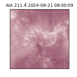 saia - 2024-08-21T08:00:09.626000