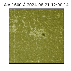 saia - 2024-08-21T12:00:14.126000