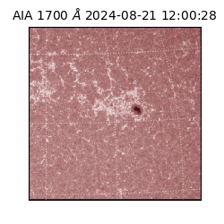 saia - 2024-08-21T12:00:28.721000