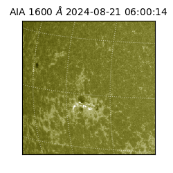 saia - 2024-08-21T06:00:14.129000