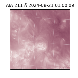 saia - 2024-08-21T01:00:09.629000