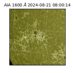 saia - 2024-08-21T08:00:14.126000