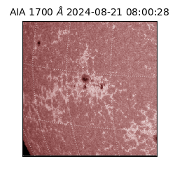 saia - 2024-08-21T08:00:28.717000