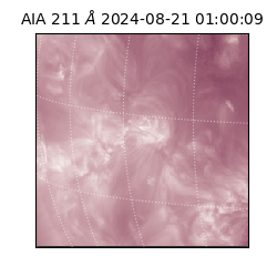 saia - 2024-08-21T01:00:09.629000