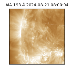 saia - 2024-08-21T08:00:04.843000
