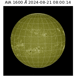 saia - 2024-08-21T08:00:14.126000