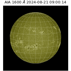 saia - 2024-08-21T09:00:14.126000