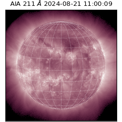 saia - 2024-08-21T11:00:09.626000
